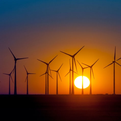 EAZ Wind – From start-up to scale-up