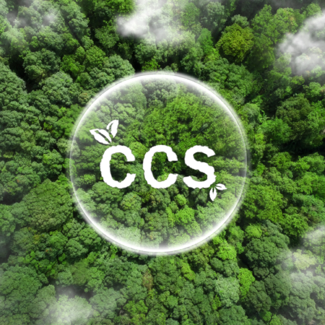 Carbon Capture: Turning Emissions into Opportunity